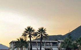 Palm Trees Hotel